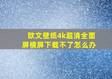 欧文壁纸4k超清全面屏横屏下载不了怎么办