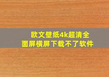 欧文壁纸4k超清全面屏横屏下载不了软件