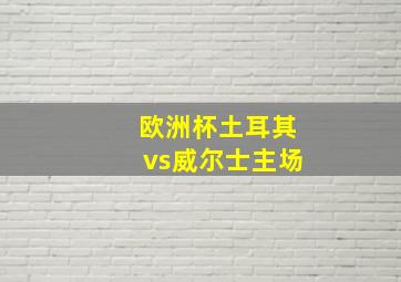 欧洲杯土耳其vs威尔士主场