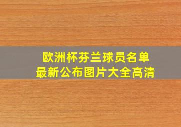 欧洲杯芬兰球员名单最新公布图片大全高清