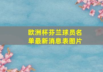 欧洲杯芬兰球员名单最新消息表图片