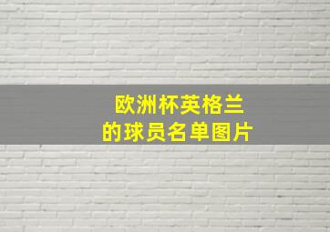 欧洲杯英格兰的球员名单图片