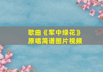 歌曲《军中绿花》原唱简谱图片视频