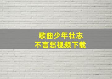 歌曲少年壮志不言愁视频下载