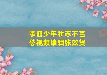 歌曲少年壮志不言愁视频编辑张效贤