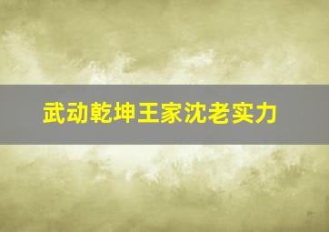 武动乾坤王家沈老实力