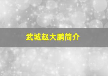 武城赵大鹏简介