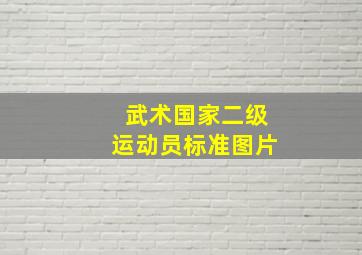 武术国家二级运动员标准图片