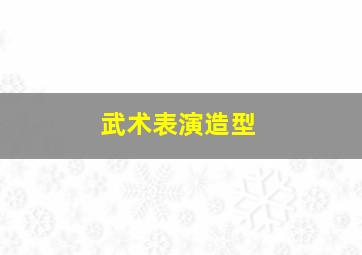 武术表演造型