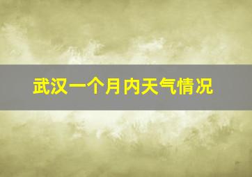 武汉一个月内天气情况