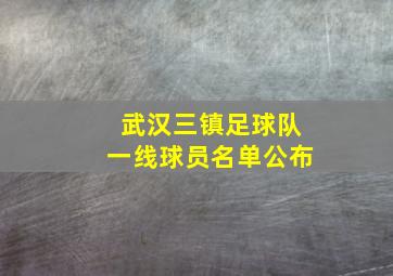 武汉三镇足球队一线球员名单公布