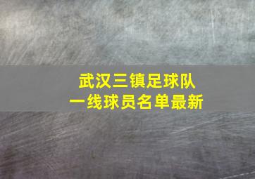 武汉三镇足球队一线球员名单最新