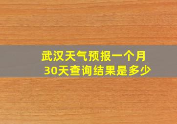 武汉天气预报一个月30天查询结果是多少