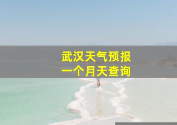 武汉天气预报一个月天查询