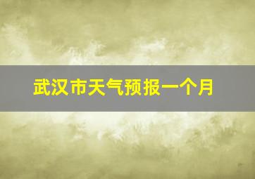 武汉市天气预报一个月