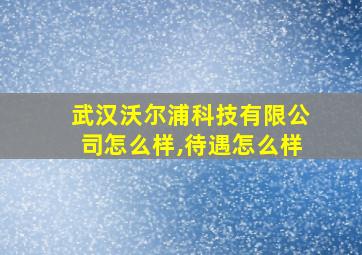 武汉沃尔浦科技有限公司怎么样,待遇怎么样