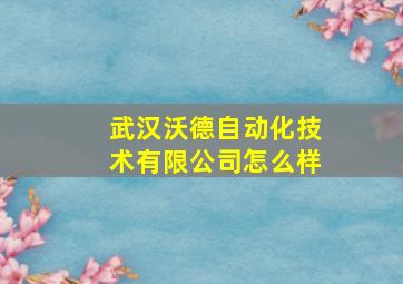 武汉沃德自动化技术有限公司怎么样