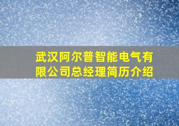 武汉阿尔普智能电气有限公司总经理简历介绍