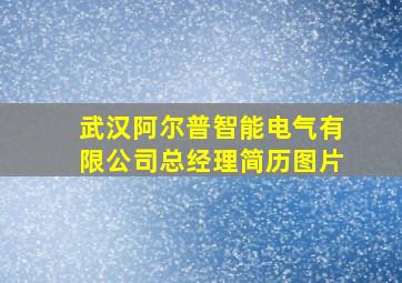 武汉阿尔普智能电气有限公司总经理简历图片