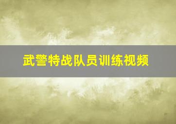 武警特战队员训练视频