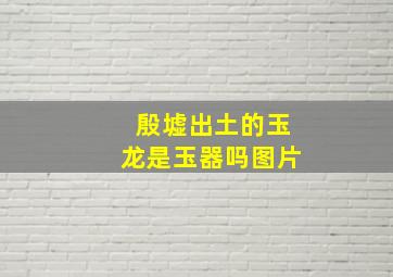 殷墟出土的玉龙是玉器吗图片