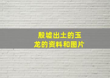 殷墟出土的玉龙的资料和图片