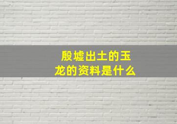 殷墟出土的玉龙的资料是什么