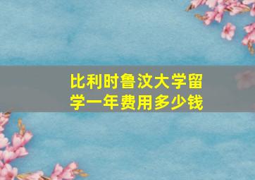 比利时鲁汶大学留学一年费用多少钱