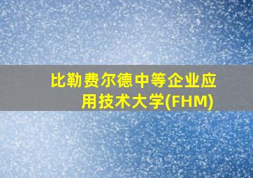 比勒费尔德中等企业应用技术大学(FHM)