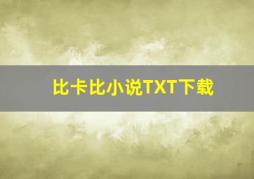 比卡比小说TXT下载