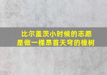 比尔盖茨小时候的志愿是做一棵昂首天穹的橡树