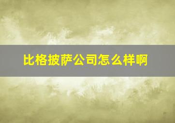 比格披萨公司怎么样啊