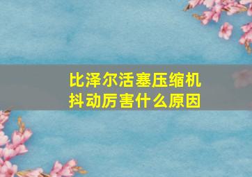 比泽尔活塞压缩机抖动厉害什么原因