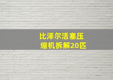 比泽尔活塞压缩机拆解20匹