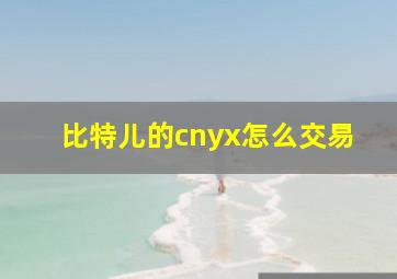 比特儿的cnyx怎么交易