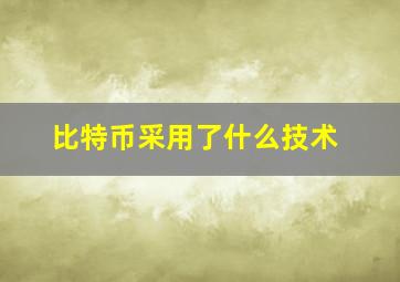 比特币采用了什么技术