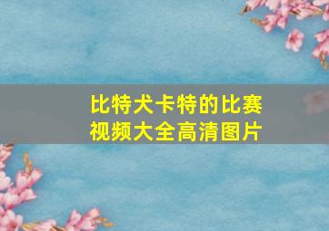 比特犬卡特的比赛视频大全高清图片