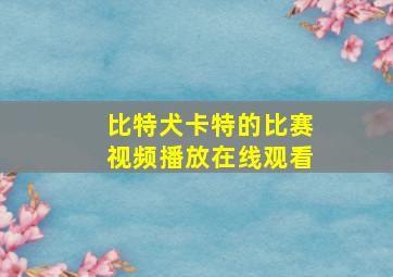 比特犬卡特的比赛视频播放在线观看