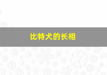 比特犬的长相