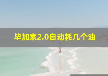 毕加索2.0自动耗几个油