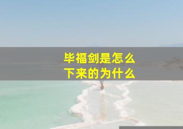 毕福剑是怎么下来的为什么