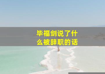 毕福剑说了什么被辞职的话