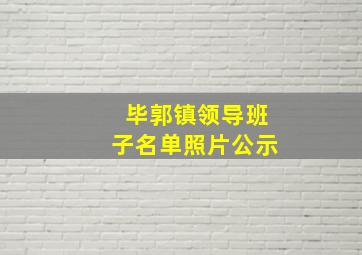 毕郭镇领导班子名单照片公示