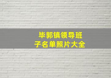 毕郭镇领导班子名单照片大全