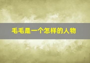 毛毛是一个怎样的人物