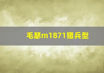 毛瑟m1871猎兵型