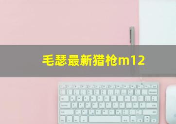 毛瑟最新猎枪m12