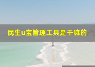 民生u宝管理工具是干嘛的