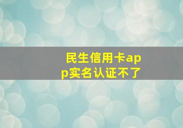 民生信用卡app实名认证不了