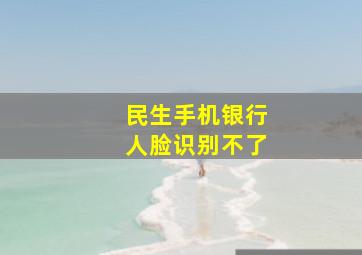 民生手机银行人脸识别不了